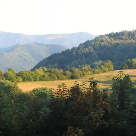 Chabadova * Lysica