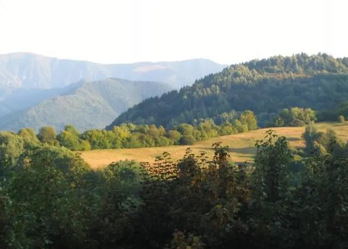 Chabadova * Lysica